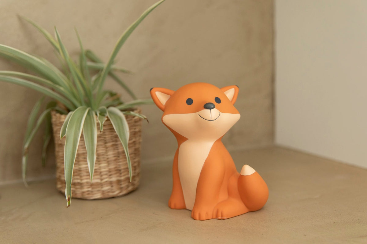 AP Junior Spardose FOX CESAR LARGE orange | 10,5x14cm - Sir Henrys