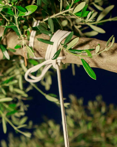 Newgarden AKKU Hängeleuchte MINI CONTA HANG