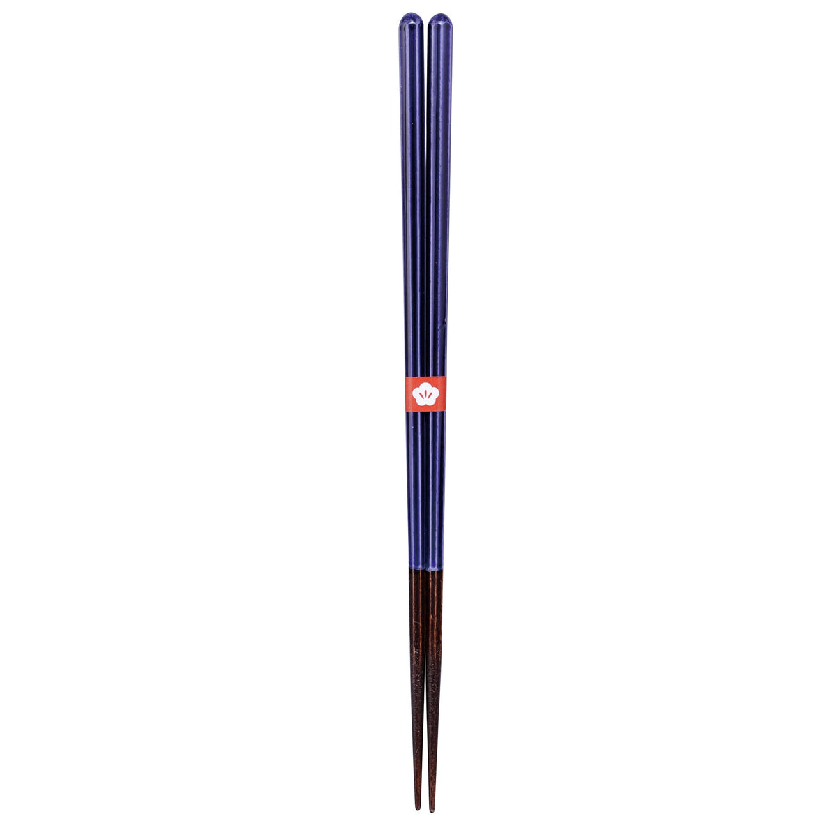 DiGRAFT Essstäbchen Chopsticks ISOSUKASHI EDOMURASAKI Purple Japan | 23cm - Sir Henrys