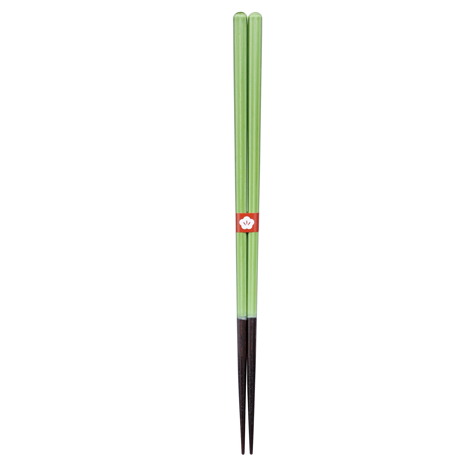 DiGRAFT Essstäbchen Chopsticks ISOSUKASHI MOEGIIRO Green Japan | 23cm - Sir Henrys