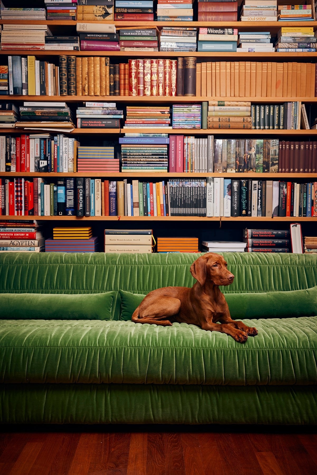 HKLiving CLUB COUCH | 274cm - Sir Henrys