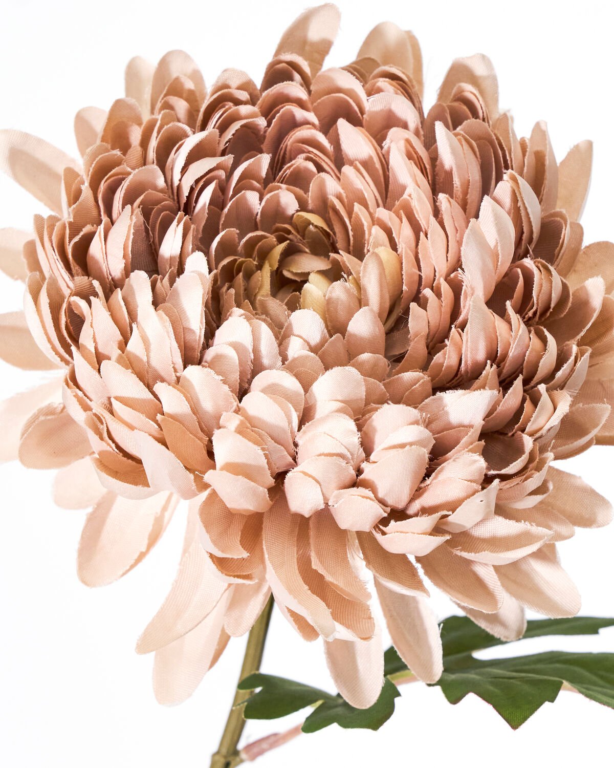 House Doctor Kunstblume CHRYSANTHEME rose | 14x60cm - Sir Henrys
