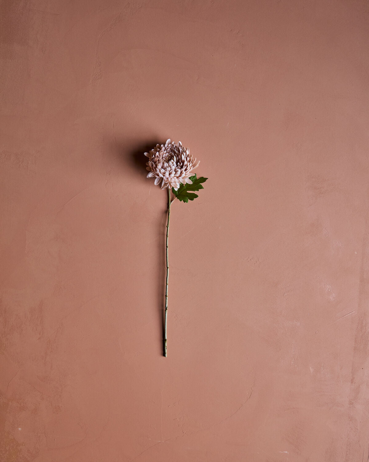 House Doctor Kunstblume CHRYSANTHEME rose | 14x60cm - Sir Henrys