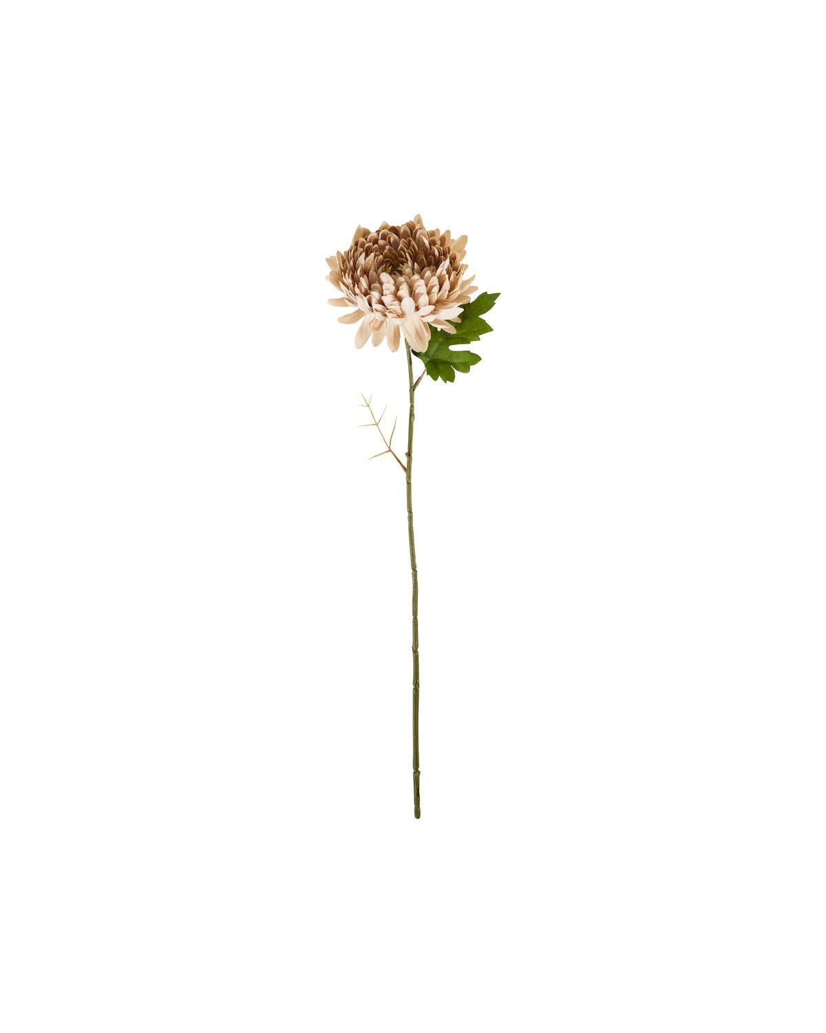 House Doctor Kunstblume CHRYSANTHEME rose | 14x60cm - Sir Henrys