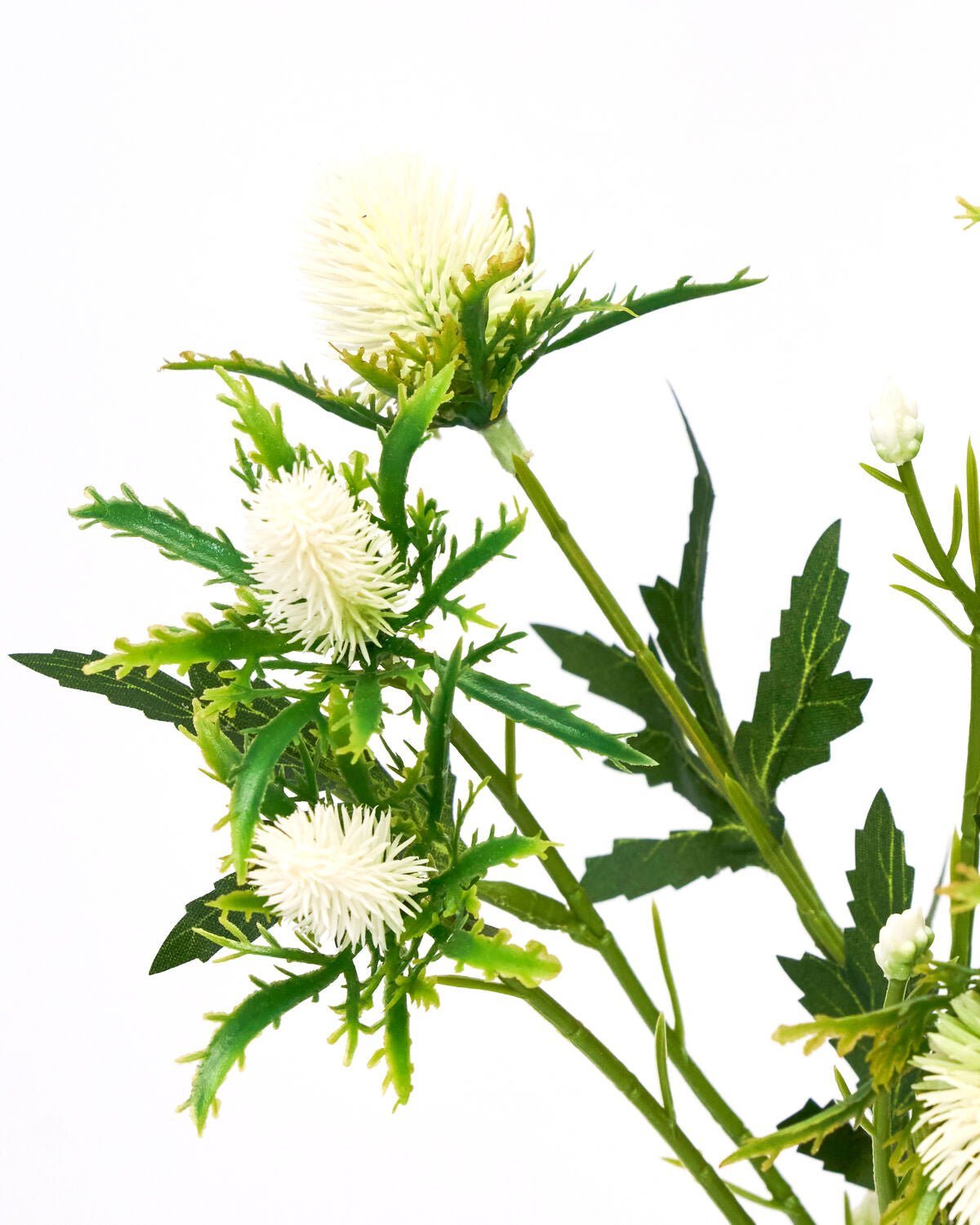 House Doctor Kunstblume DISTEL weiß | 20x67cm - Sir Henrys