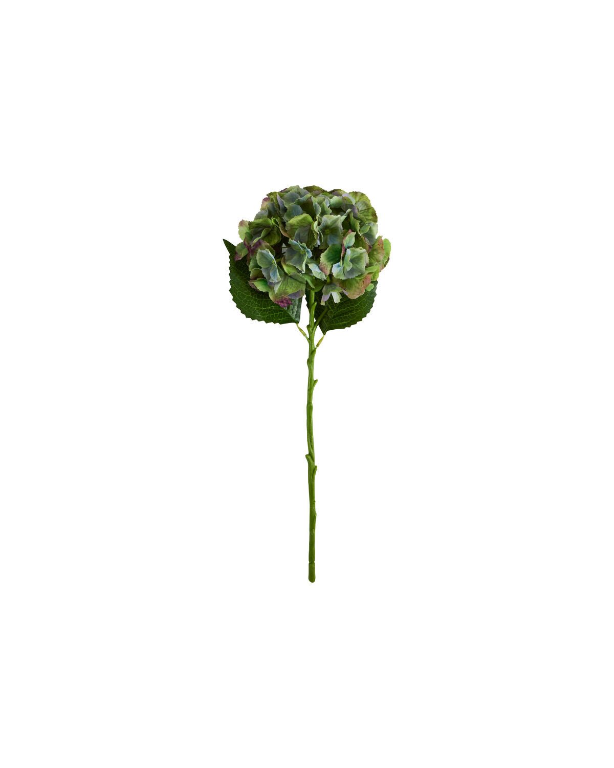 House Doctor Kunstblume HORTENSIE grün blau | 20x50cm - Sir Henrys