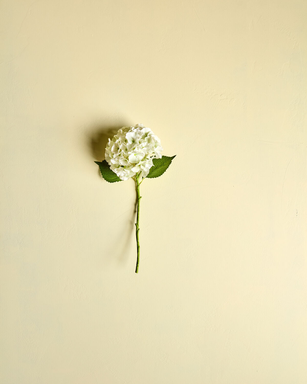 House Doctor Kunstblume HORTENSIE weiß | 22x50cm - Sir Henrys