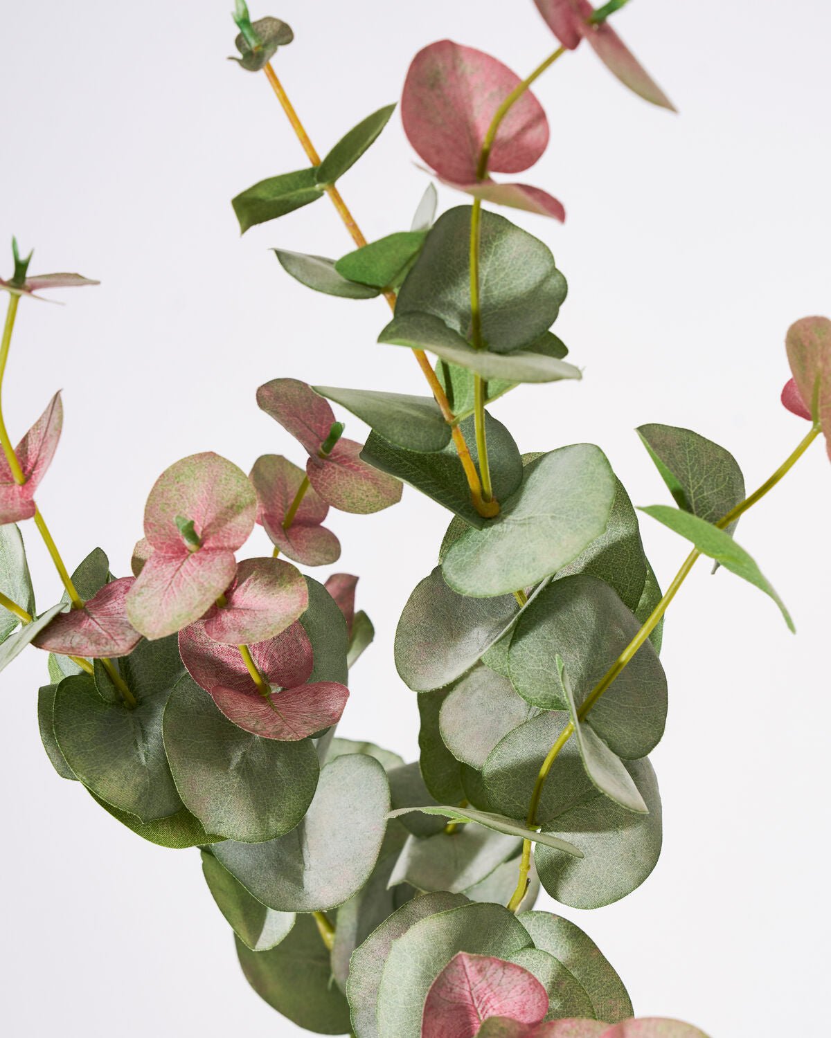 House Doctor Kunstzweig EUCALYPTUS grün | 25x90cm - Sir Henrys