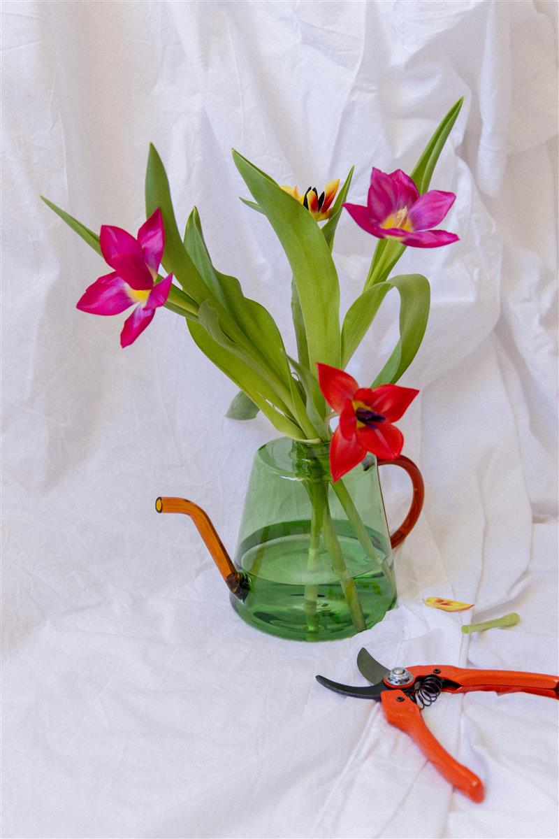 Hübsch Gießkanne FLORA grün | Ø24x14cm - Sir Henrys