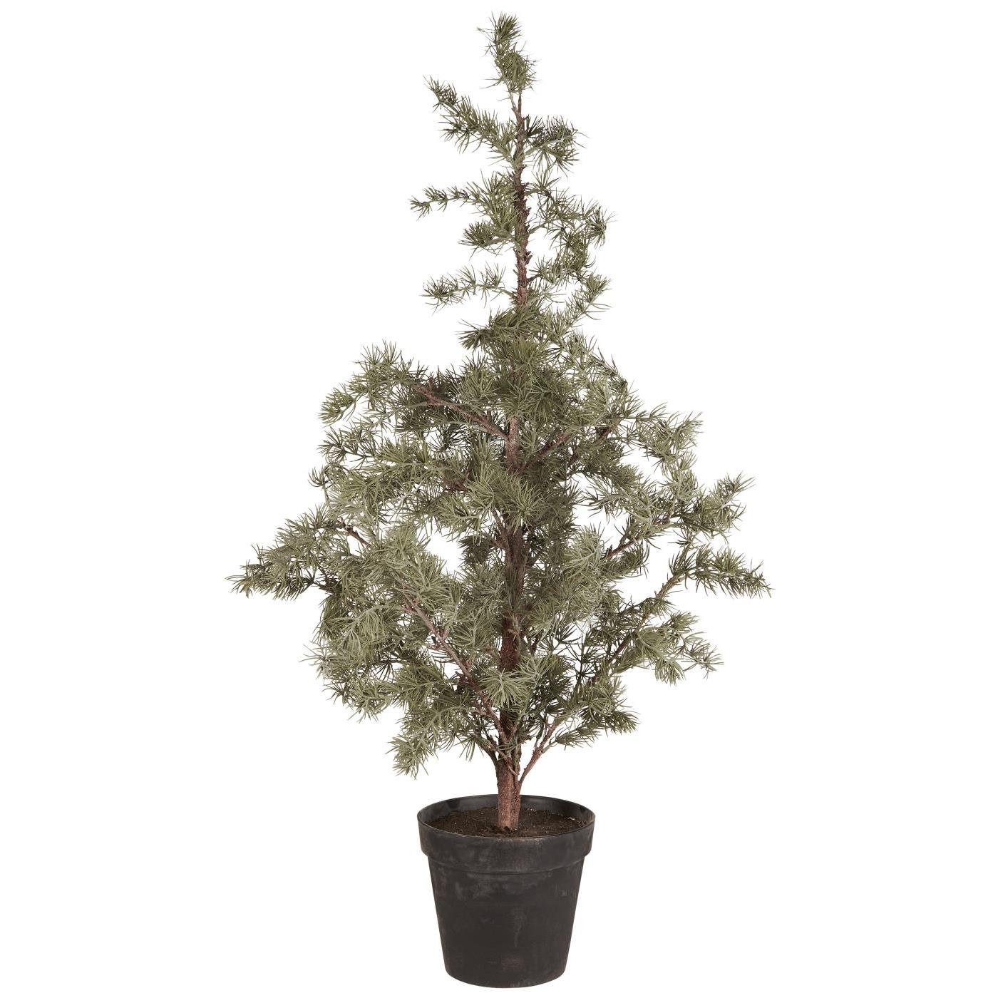 IB Laursen Weihnachtsbaum ZEDER mit Plastiktopf groß | Ø 60 H120cm - Sir Henrys
