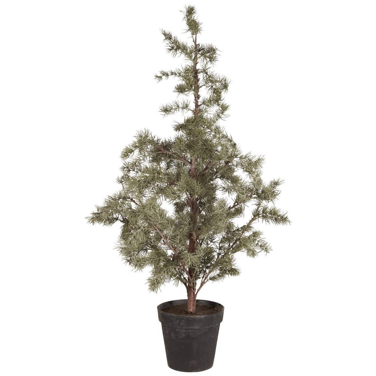 IB Laursen Weihnachtsbaum ZEDER mit Plastiktopf groß