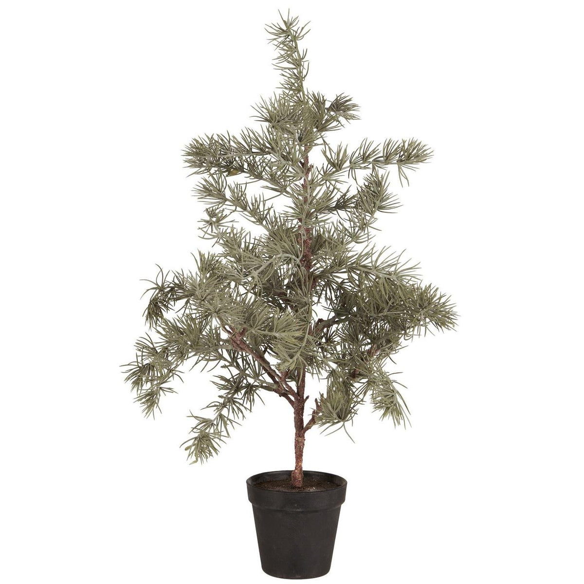 IB Laursen Weihnachtsbaum ZEDER mit Plastiktopf klein | Ø 28 H60cm - Sir Henrys