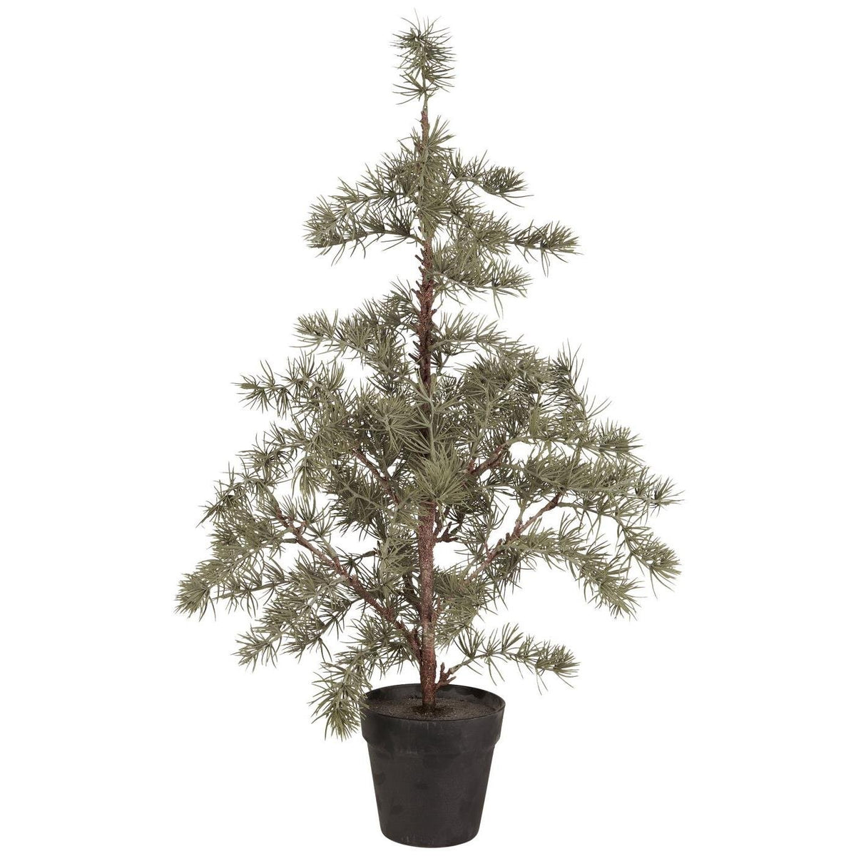 IB Laursen Weihnachtsbaum ZEDER mit Plastiktopf mittel | Ø 35 H80cm - Sir Henrys