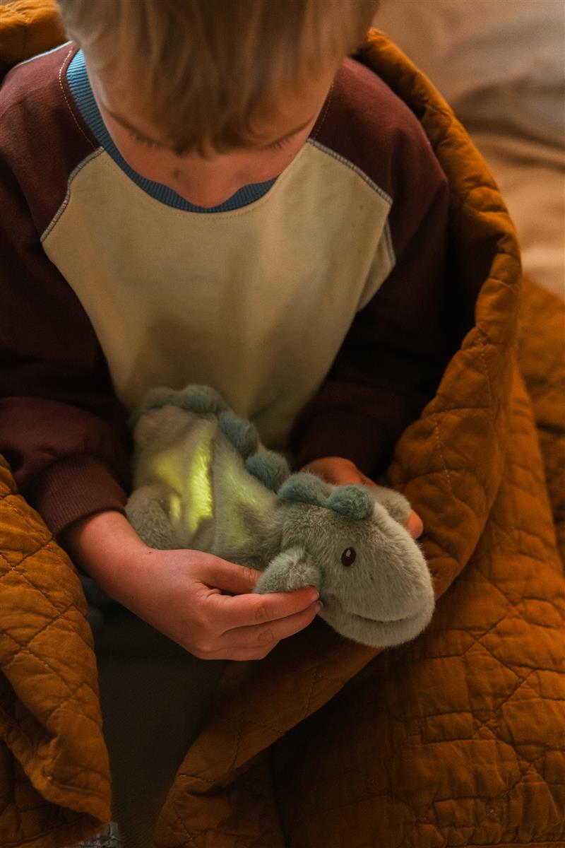 AP Junior Nachtlicht & Kuscheltier DINO JEROOM grün | 26x15x11cm