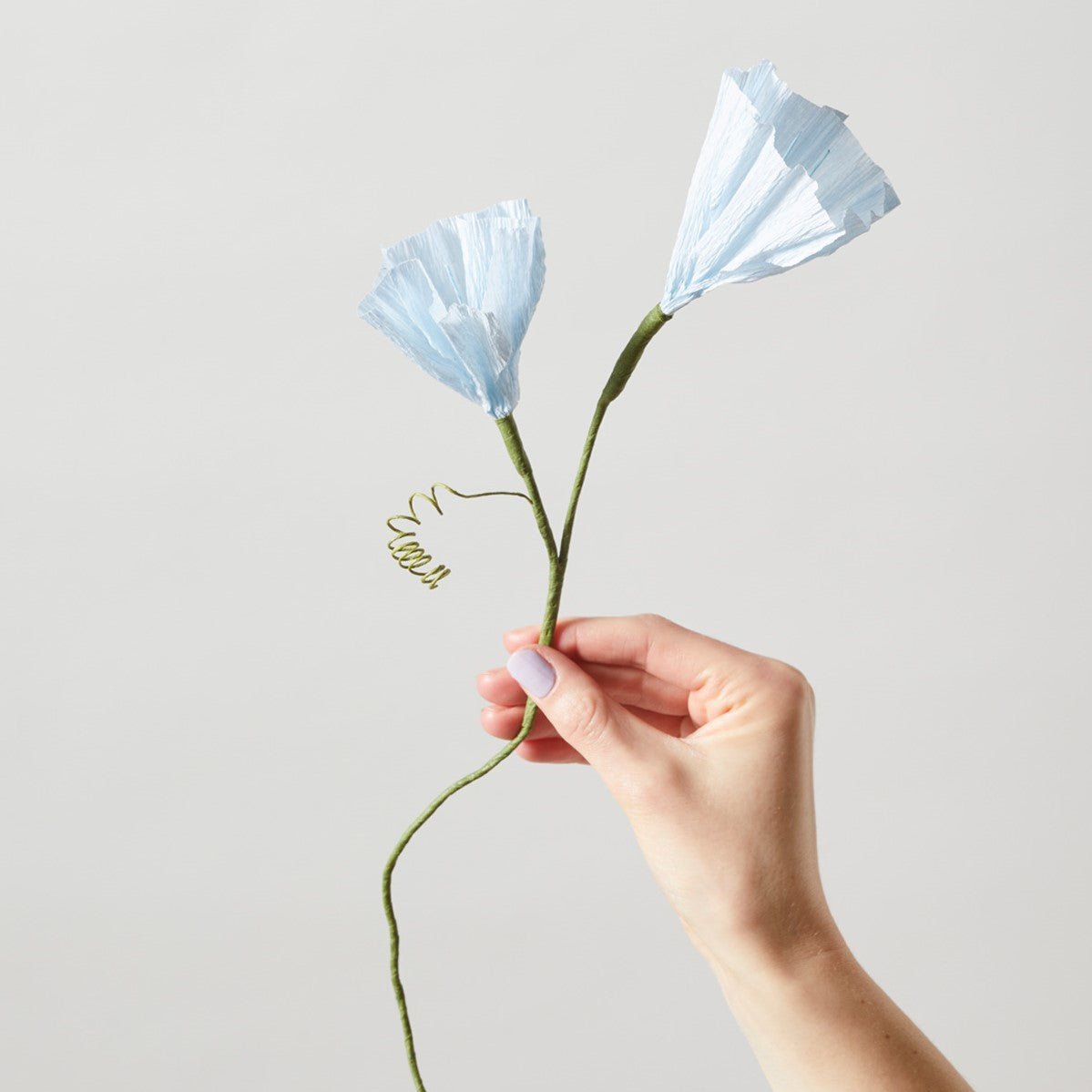 Studio About Papierblume MORNING GLORY blue blau - Sir Henrys
