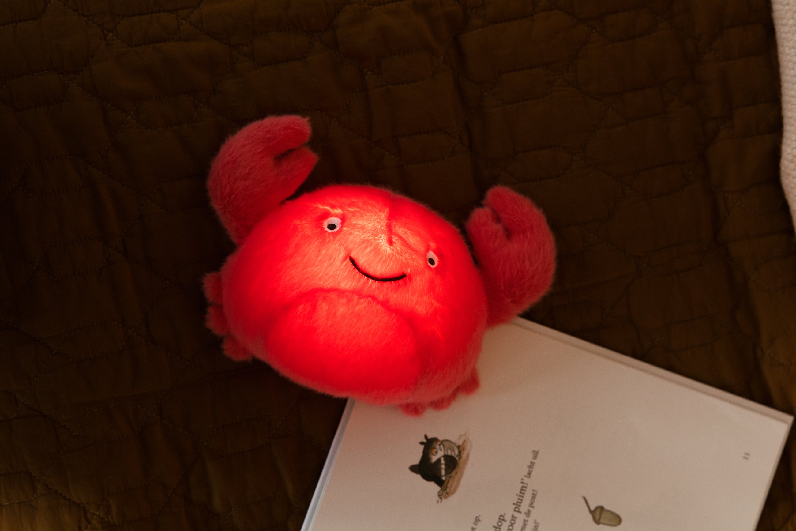 AP Junior NAchtlicht & Kuscheltier THEO THE CRAB koralle | 20x14x7cm