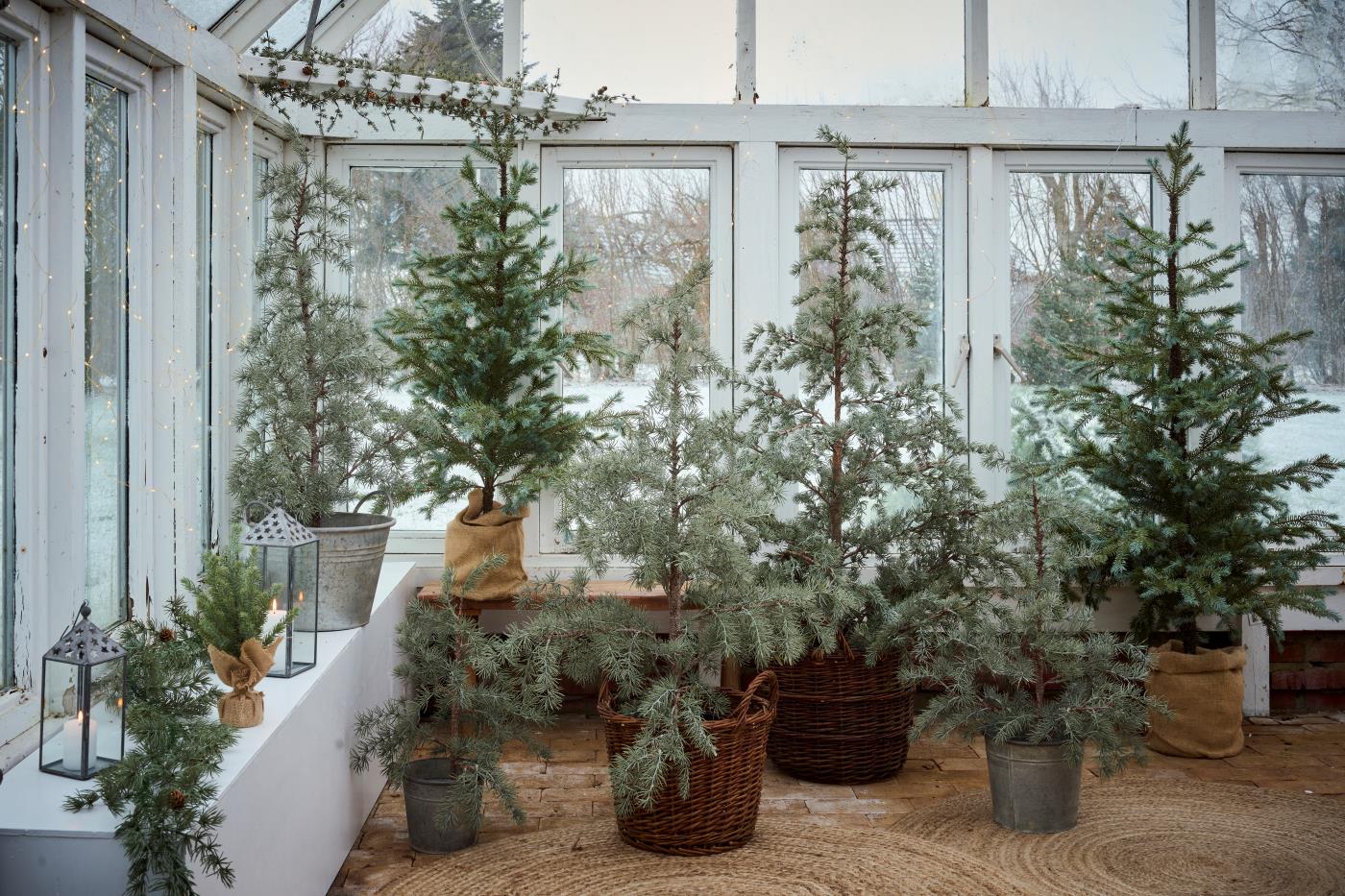 IB Laursen Weihnachtsbaum ZEDER mit Plastiktopf mittel | Ø 35 H80cm
