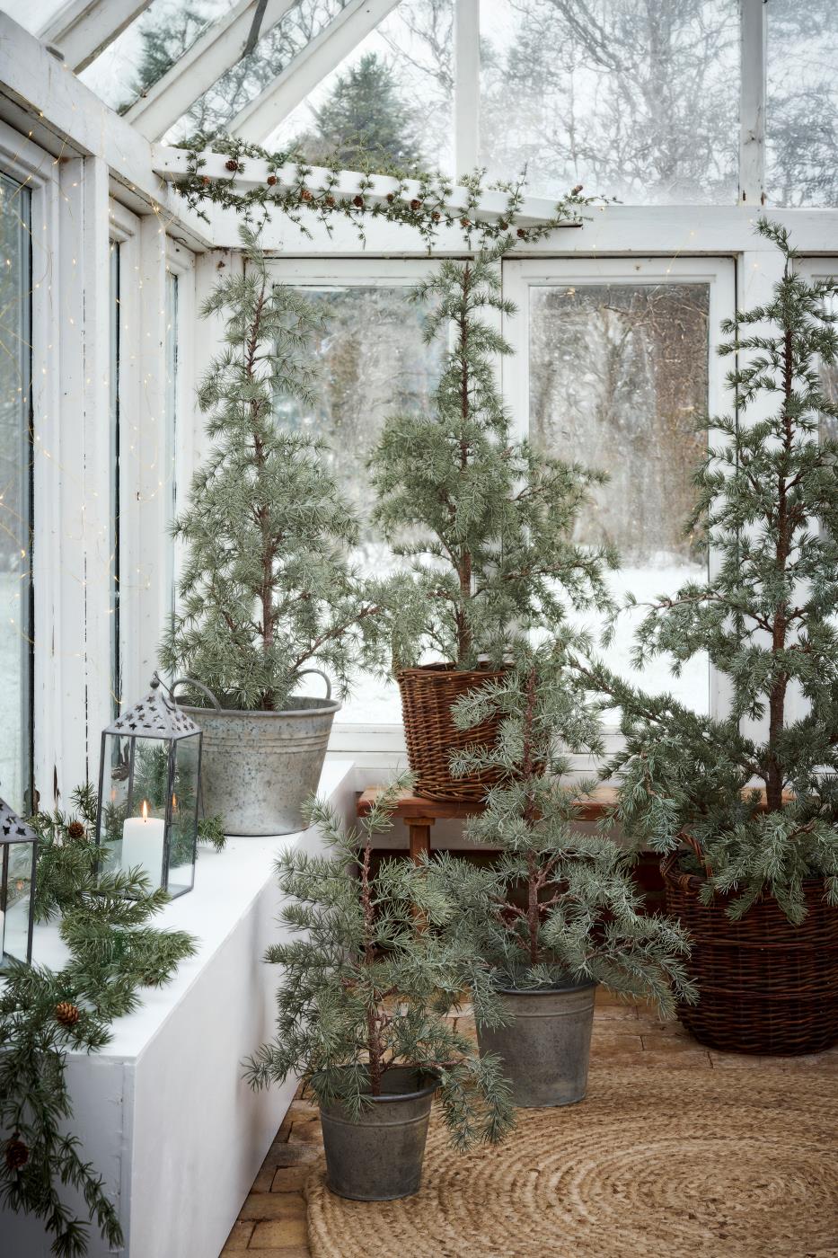 IB Laursen Weihnachtsbaum ZEDER mit Plastiktopf mittel | Ø 35 H80cm