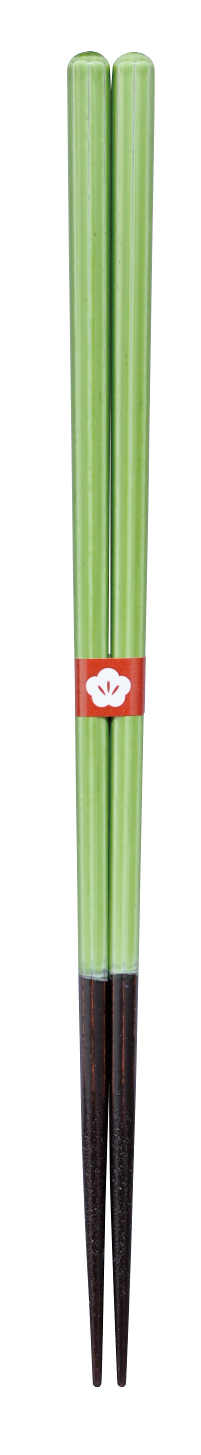 DiGRAFT Essstäbchen Chopsticks ISOSUKASHI MOEGIIRO Green Japan | 23cm