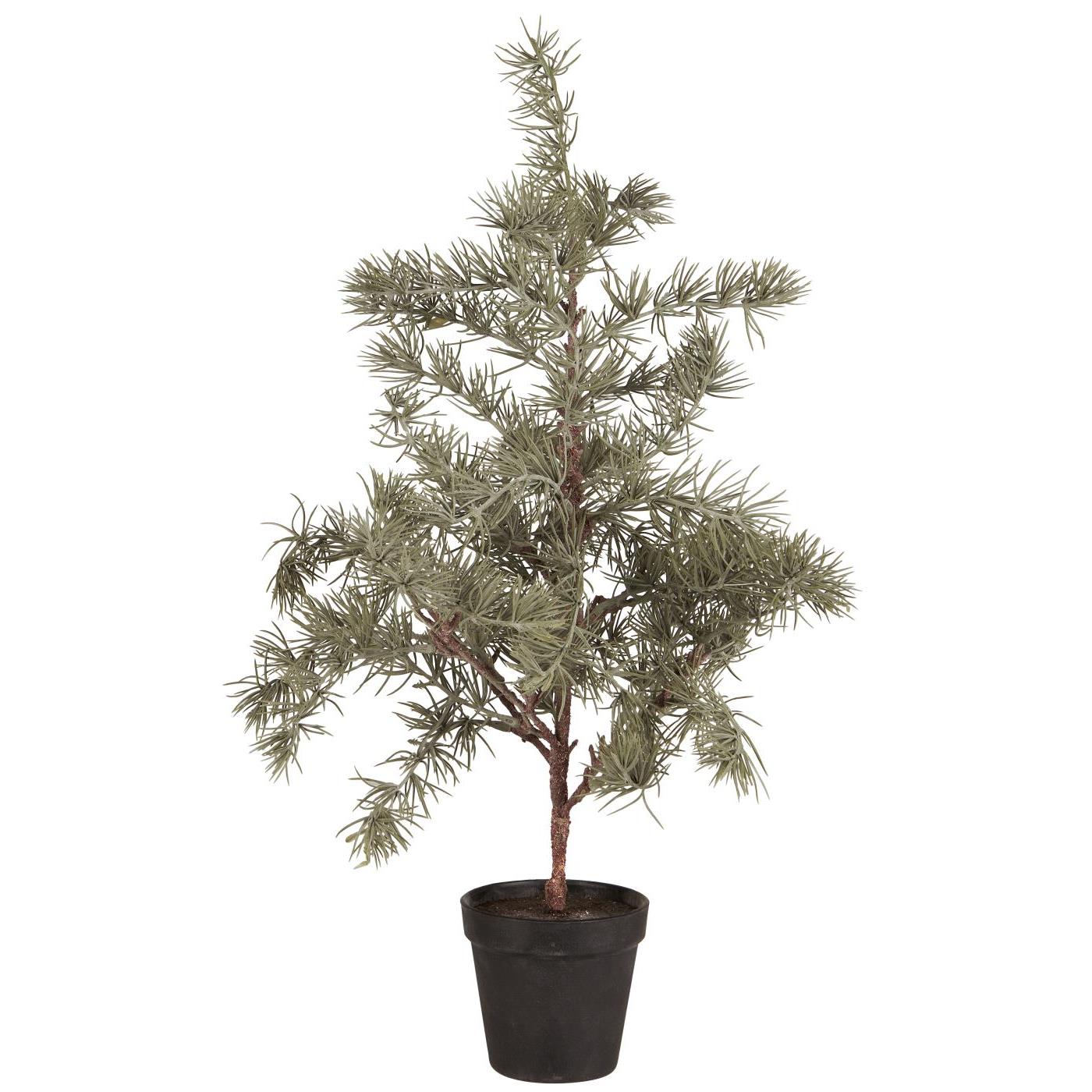 IB Laursen Weihnachtsbaum ZEDER mit Plastiktopf klein | Ø 28 H60cm