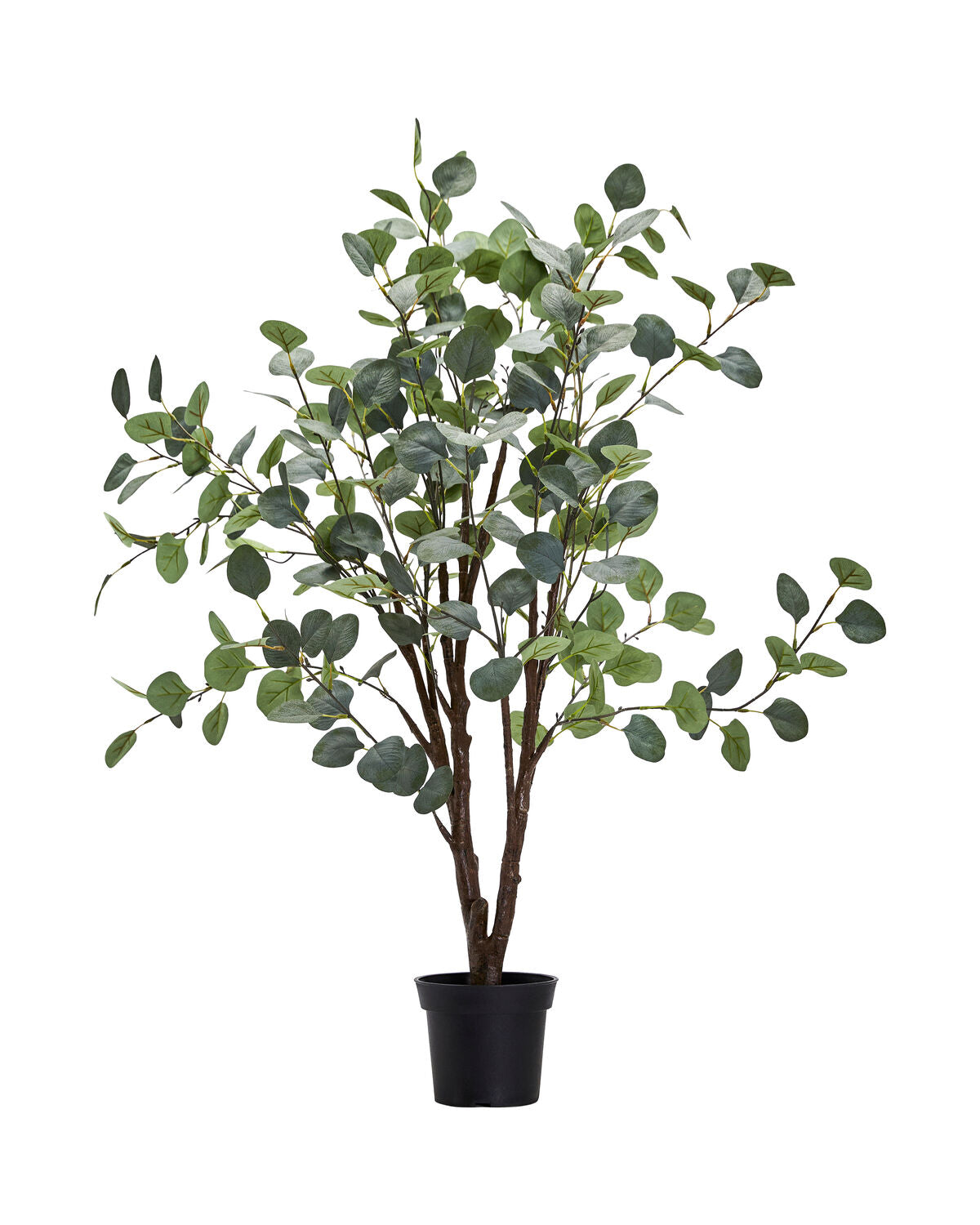 House Doctor Künstliche Pflanze Eucalyptus grau grün | 40x100 cm