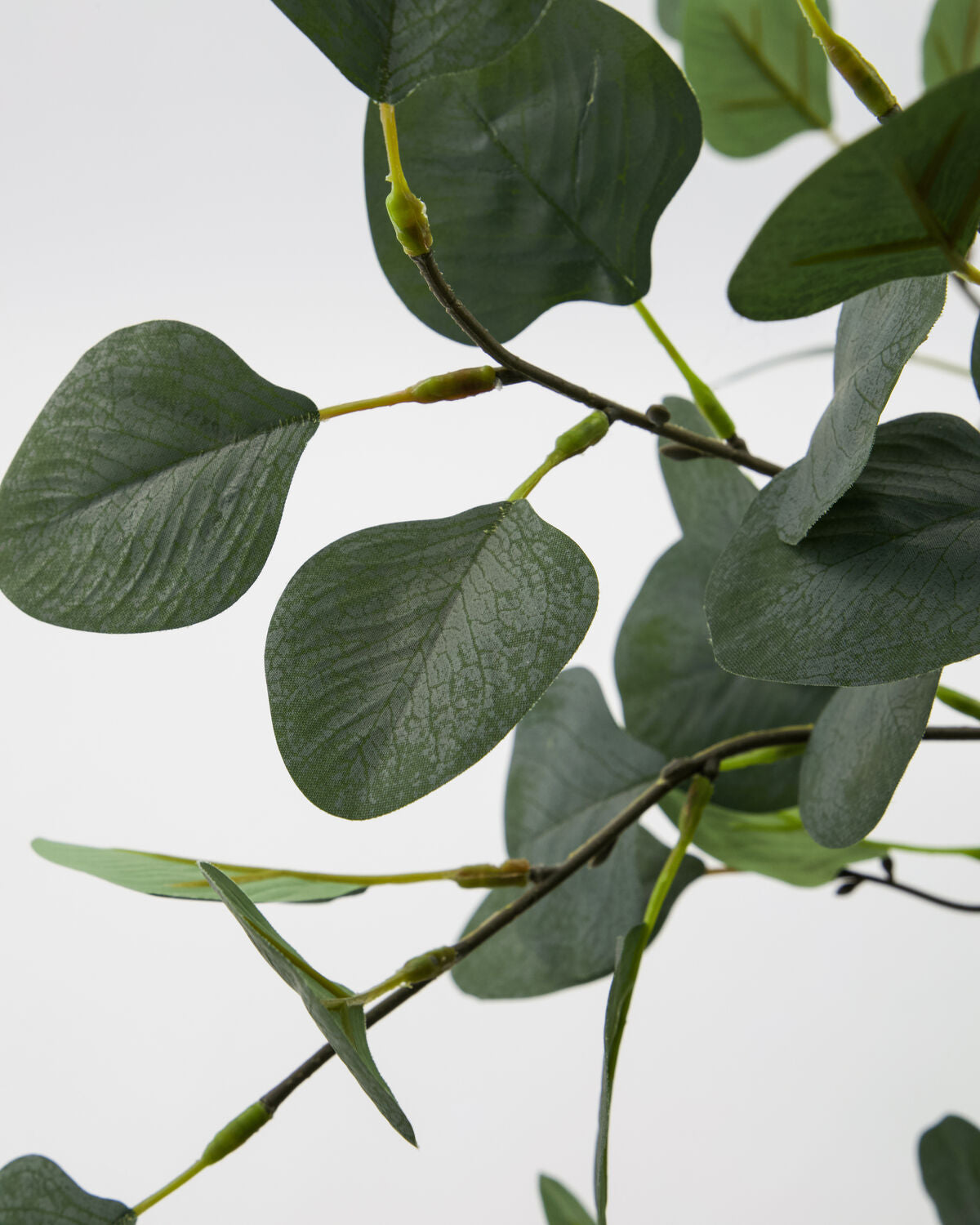 House Doctor Künstliche Pflanze Eucalyptus grau grün | 40x100 cm