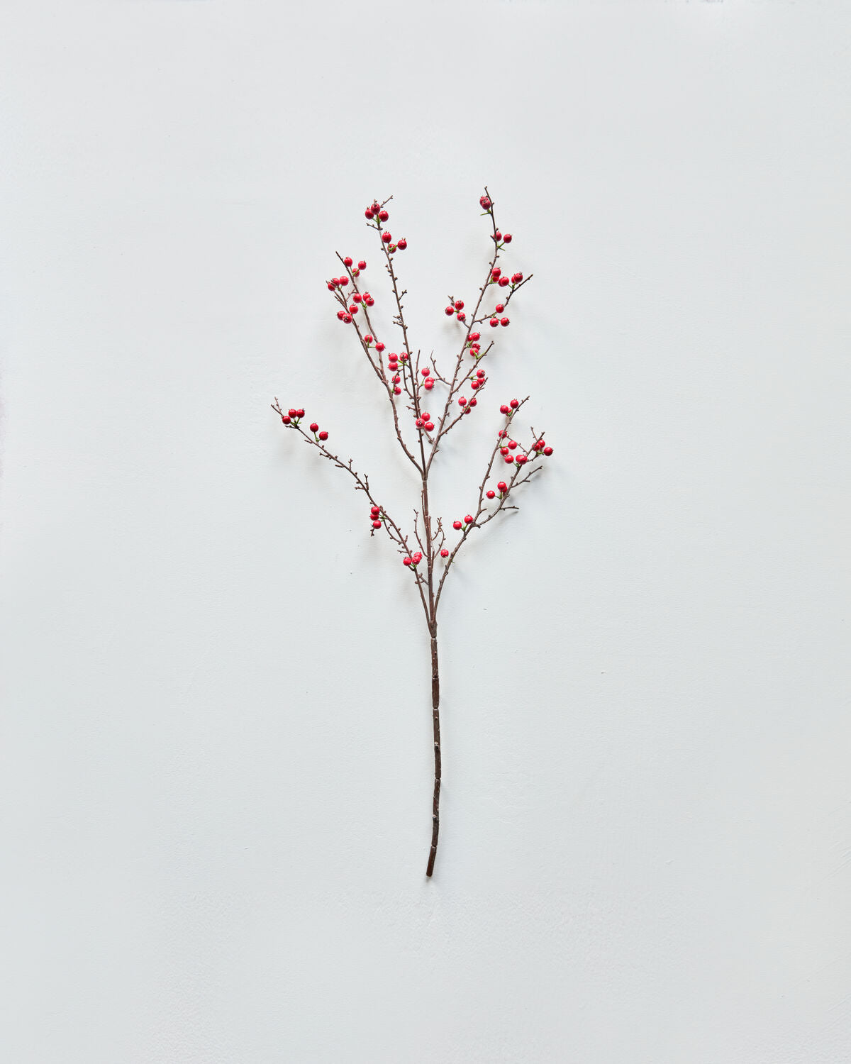 House Doctor Kunstweig DECOR rot | 97cm