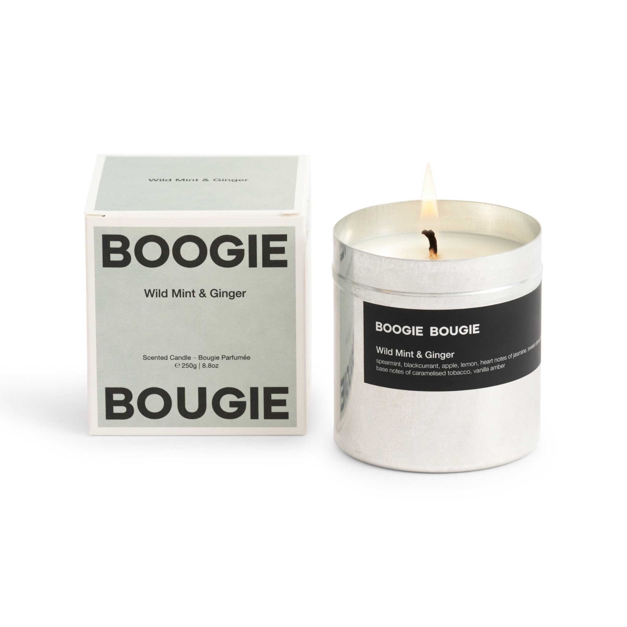Boogie Bougie Duftkerze WILD MINT & GINGER | Ø7,5x8cm 250g - Sir Henrys