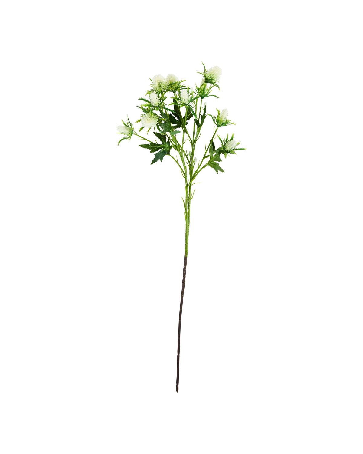 House Doctor Kunstblume DISTEL weiß | 20x67cm - Sir Henrys