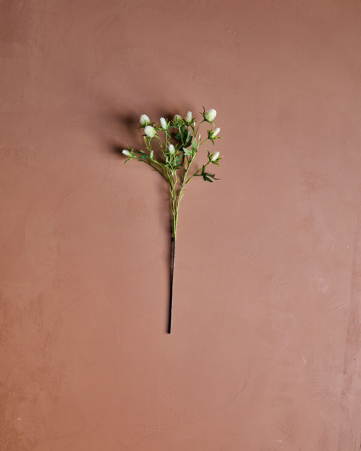 House Doctor Kunstblume DISTEL weiß | 20x67cm - Sir Henrys