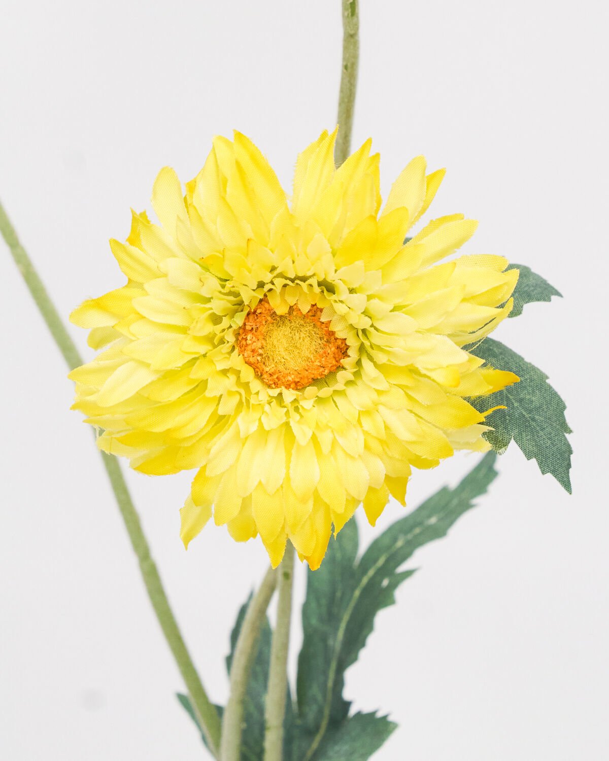 House Doctor Kunstblume GERBERA gelb | 14x70cm - Sir Henrys