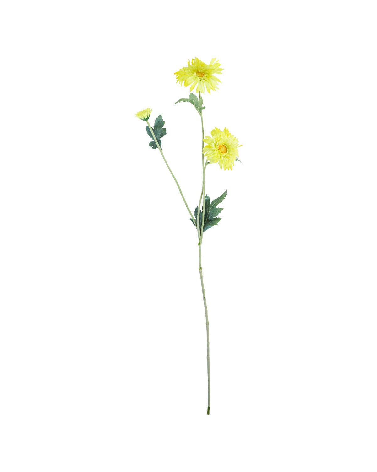 House Doctor Kunstblume GERBERA gelb | 14x70cm - Sir Henrys
