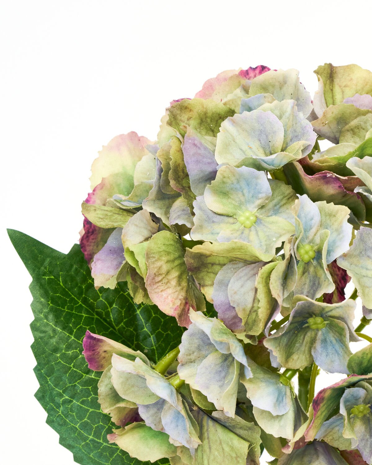 House Doctor Kunstblume HORTENSIE grün blau | 20x50cm - Sir Henrys