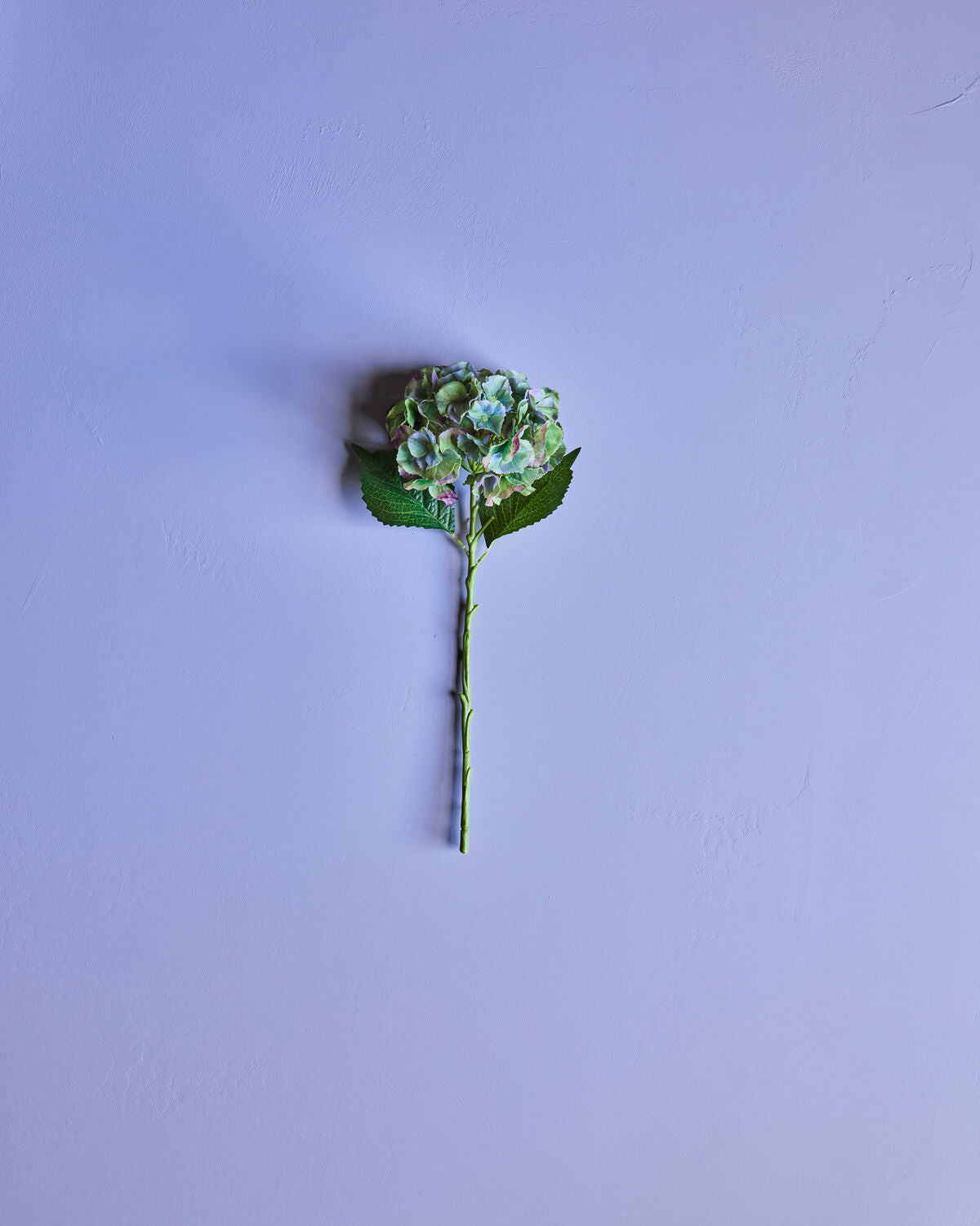 House Doctor Kunstblume HORTENSIE grün blau | 20x50cm - Sir Henrys