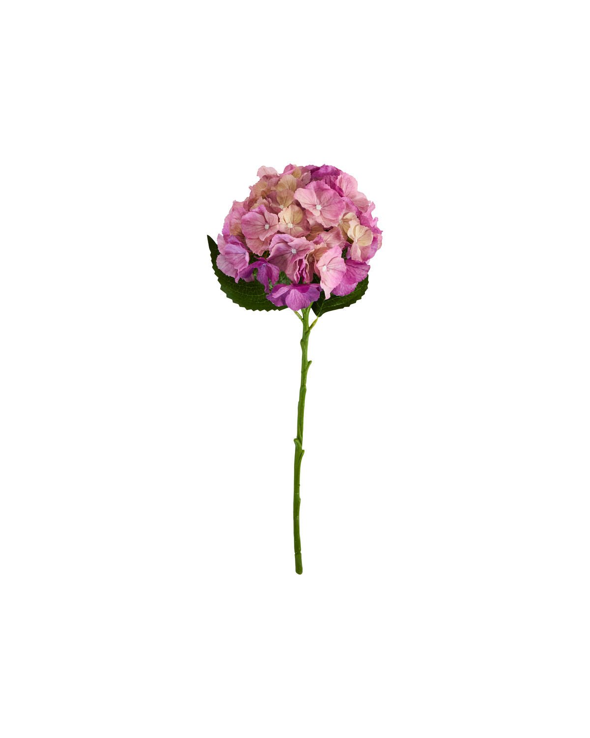 House Doctor Kunstblume HORTENSIE rosa | 22x50cm - Sir Henrys