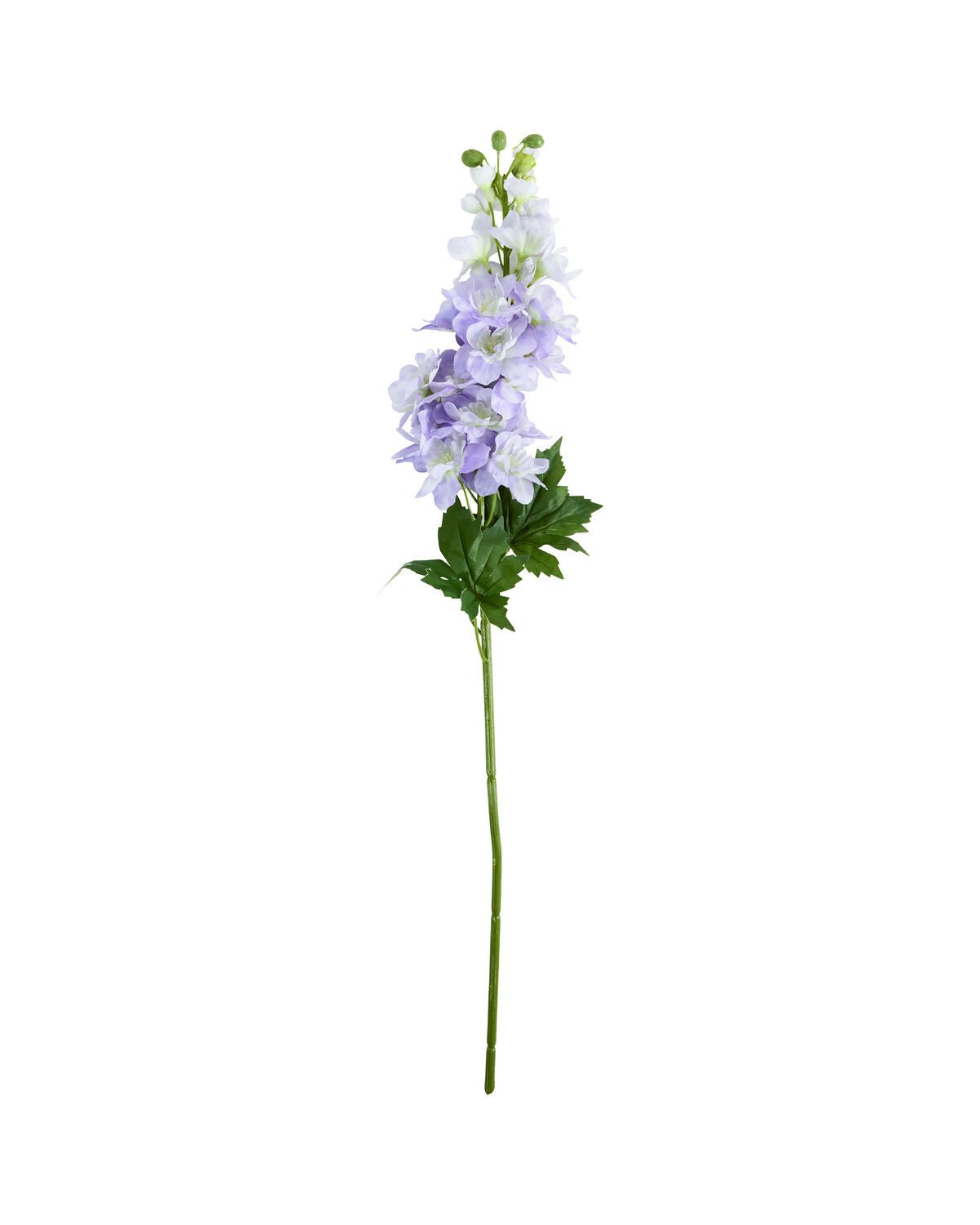 House Doctor Kunstblume RITTERSPORN lila | 12x77cm - Sir Henrys
