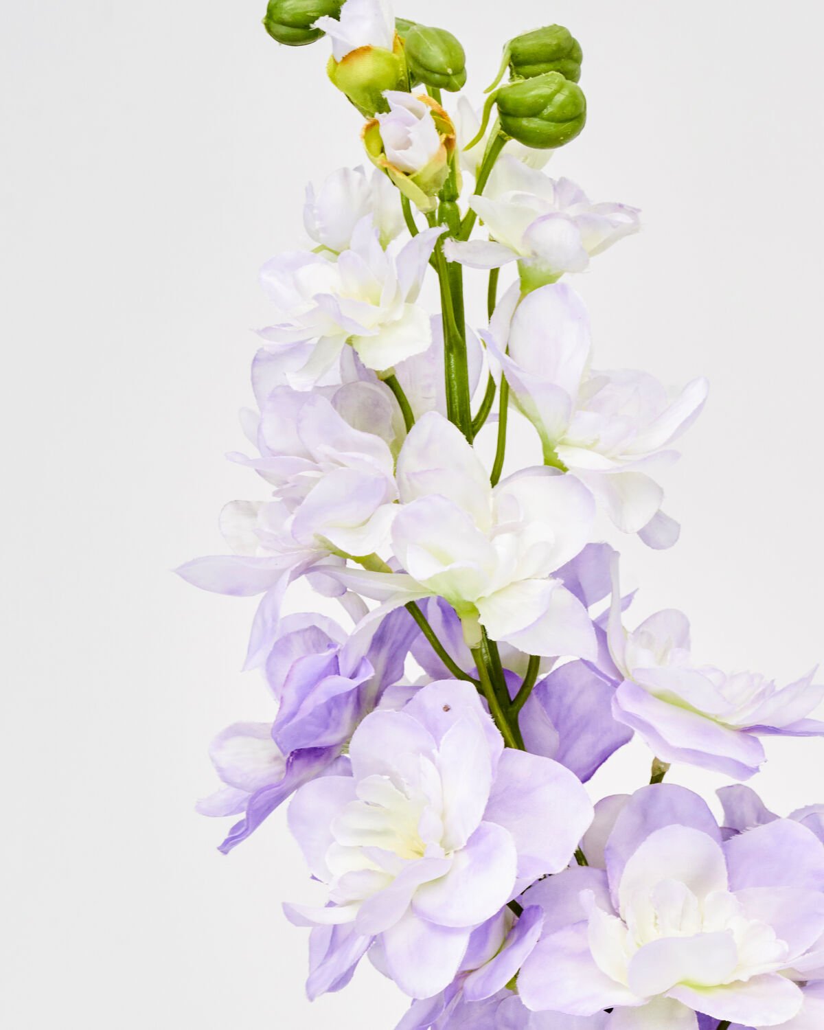 House Doctor Kunstblume RITTERSPORN lila | 12x77cm - Sir Henrys