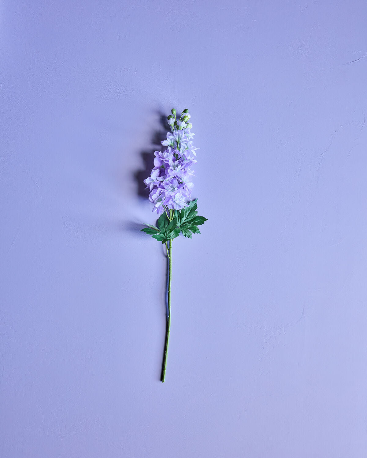House Doctor Kunstblume RITTERSPORN lila | 12x77cm - Sir Henrys