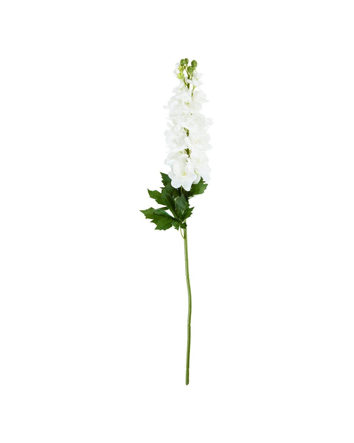 House Doctor Kunstblume RITTERSPORN weiß | 12x77cm - Sir Henrys