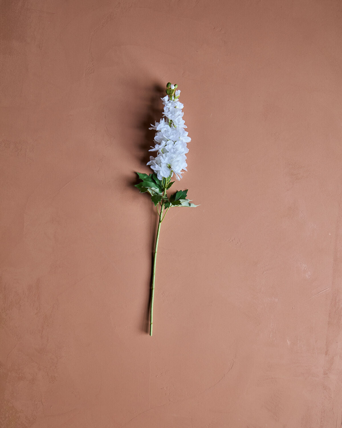 House Doctor Kunstblume RITTERSPORN weiß | 12x77cm - Sir Henrys
