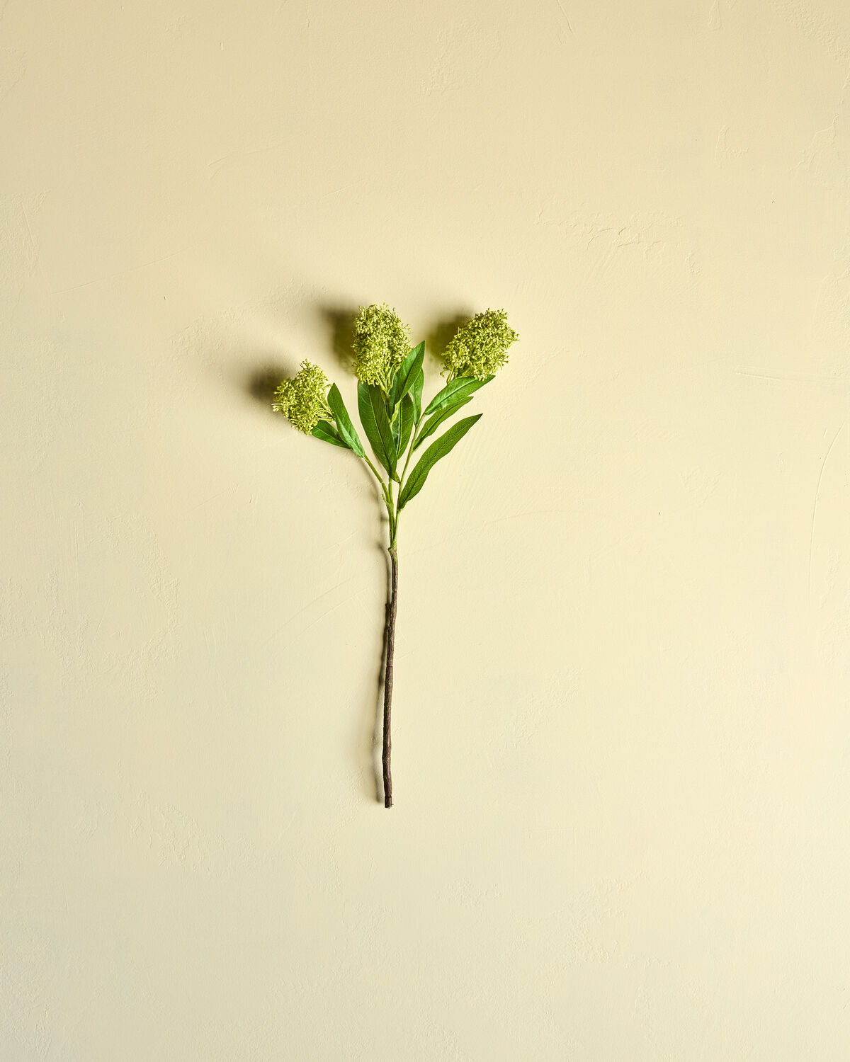 House Doctor Kunstblume SKIMMIE grün | 15x55cm - Sir Henrys