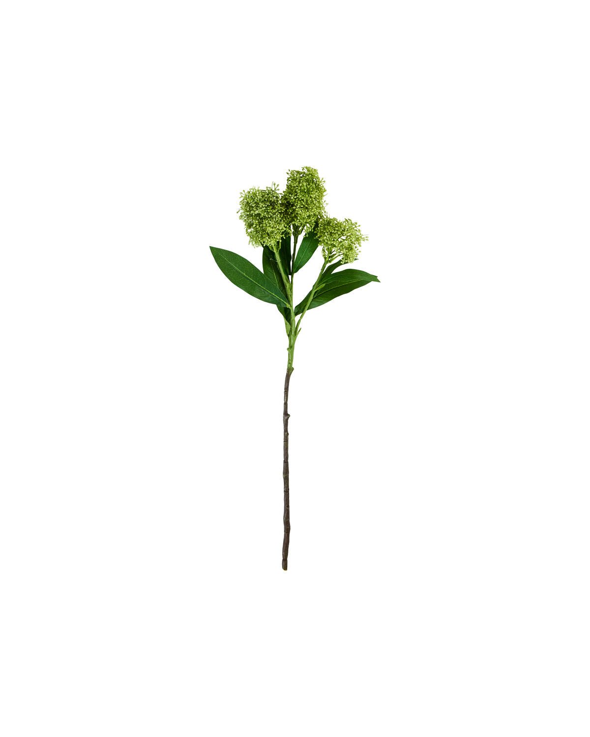 House Doctor Kunstblume SKIMMIE grün | 15x55cm - Sir Henrys