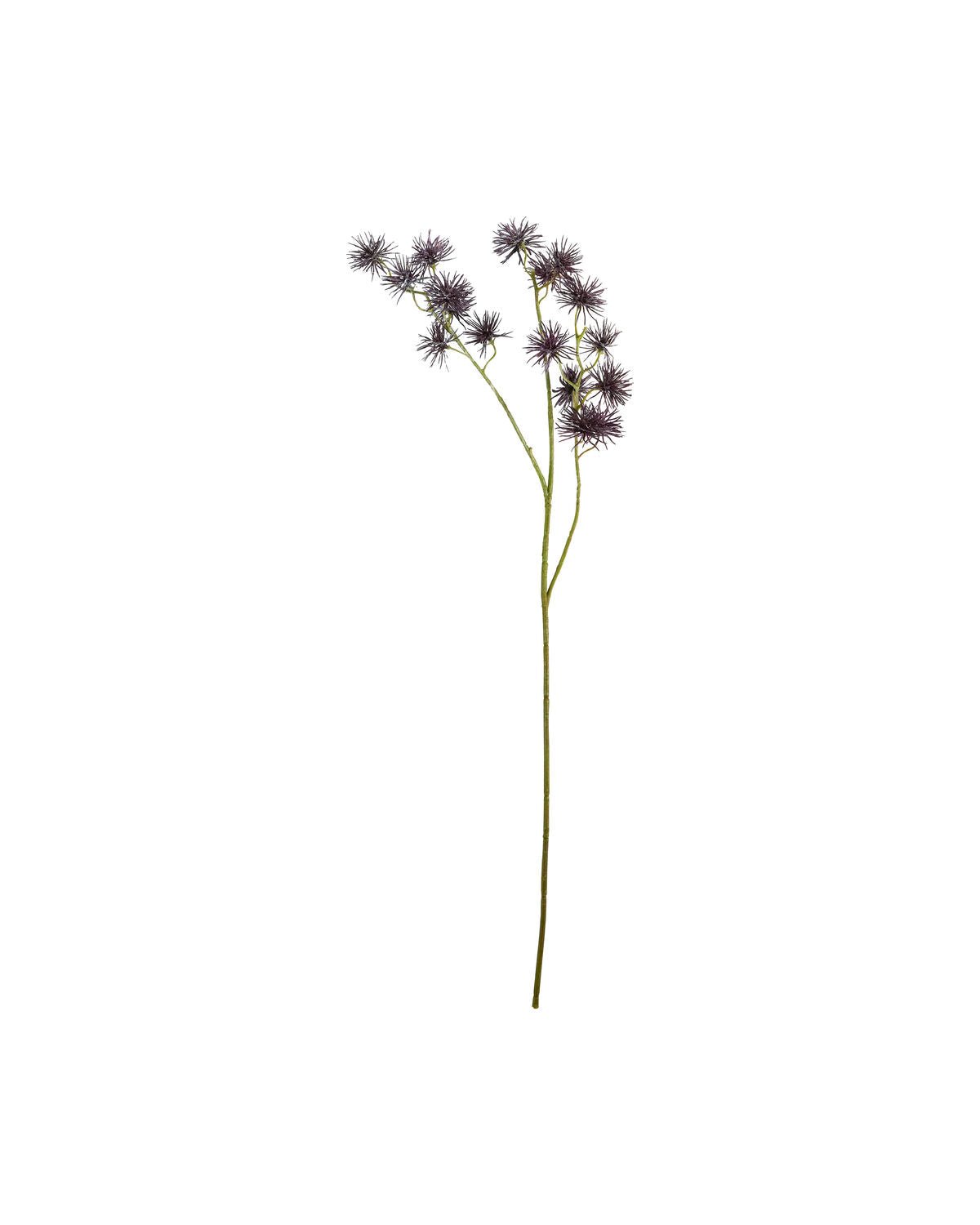 House Doctor Kunstblume URCHIN SPRAY bordeaux | 15x65cm - Sir Henrys