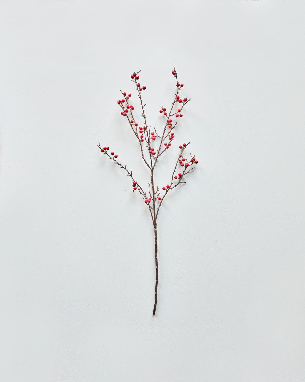 House Doctor Kunstweig DECOR rot | 97cm - Sir Henrys