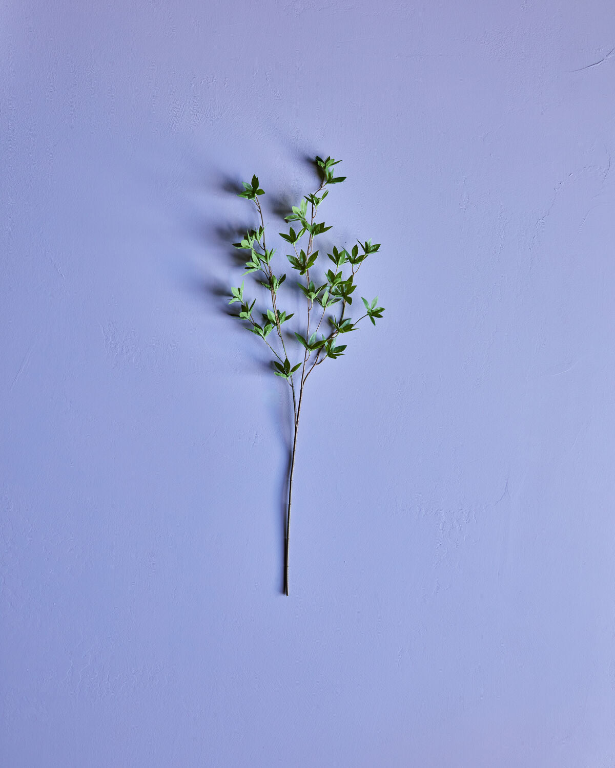 House Doctor Kunstzweig JAPONICA grün | 15x80cm - Sir Henrys