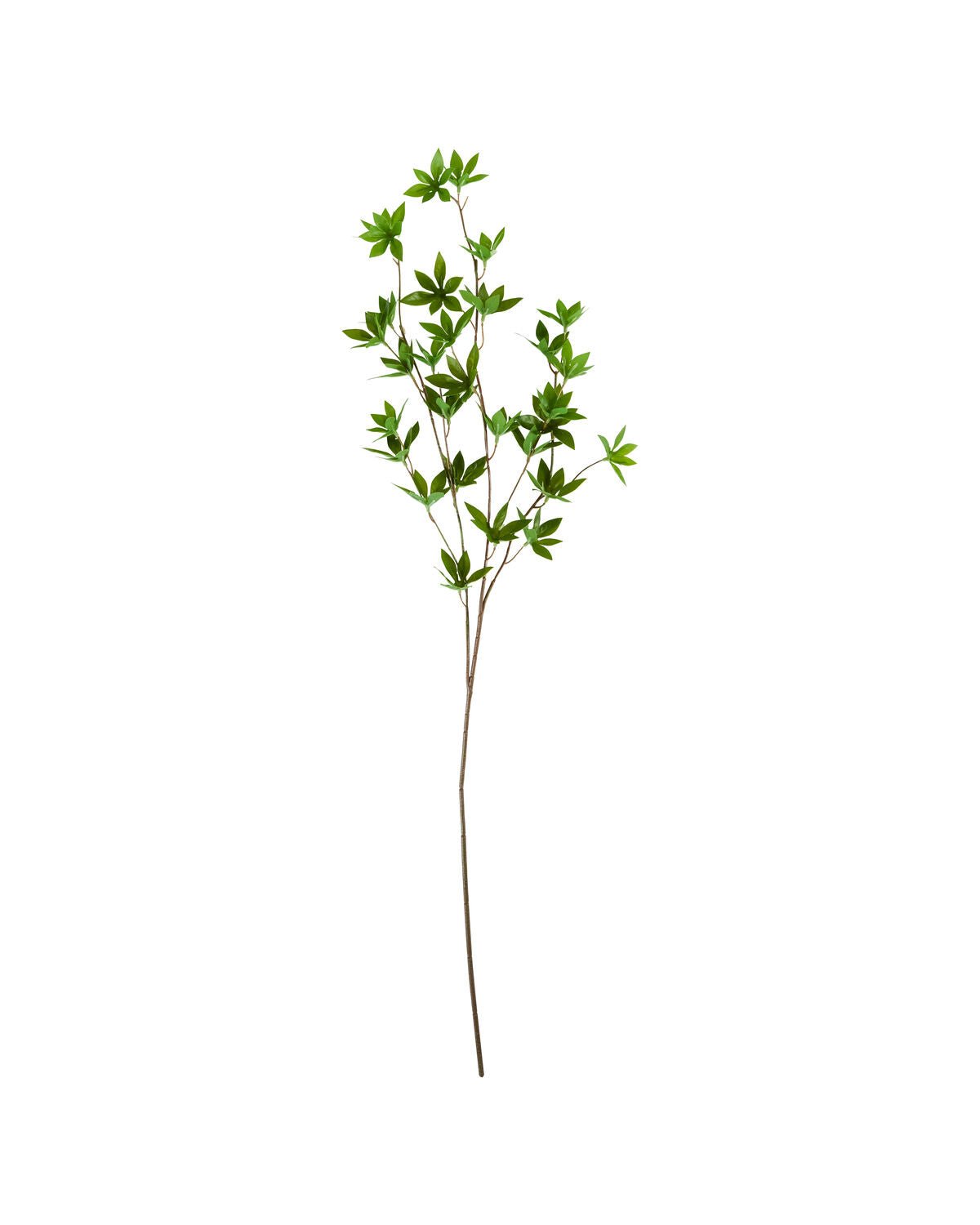 House Doctor Kunstzweig JAPONICA grün | 15x80cm - Sir Henrys
