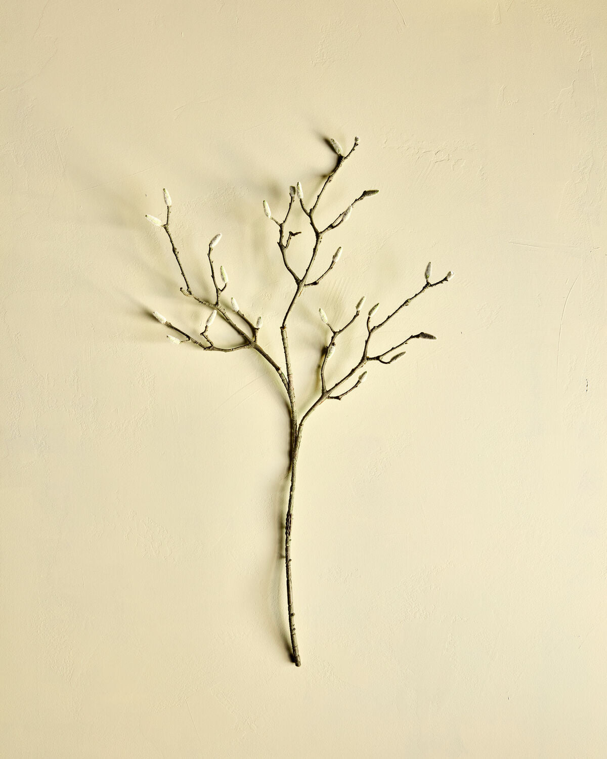 House Doctor Kunstzweig MAGNOLIE weiß | 40x95cm - Sir Henrys