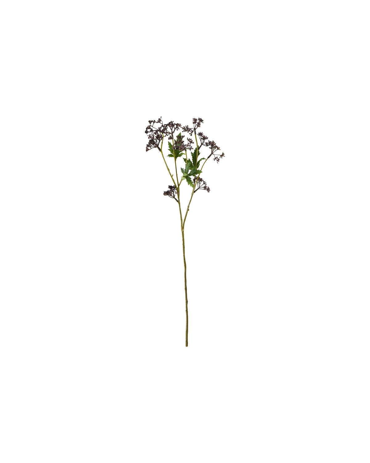 House Doctor Kunstzweig MEADOW bordeaux | 12x55cm - Sir Henrys
