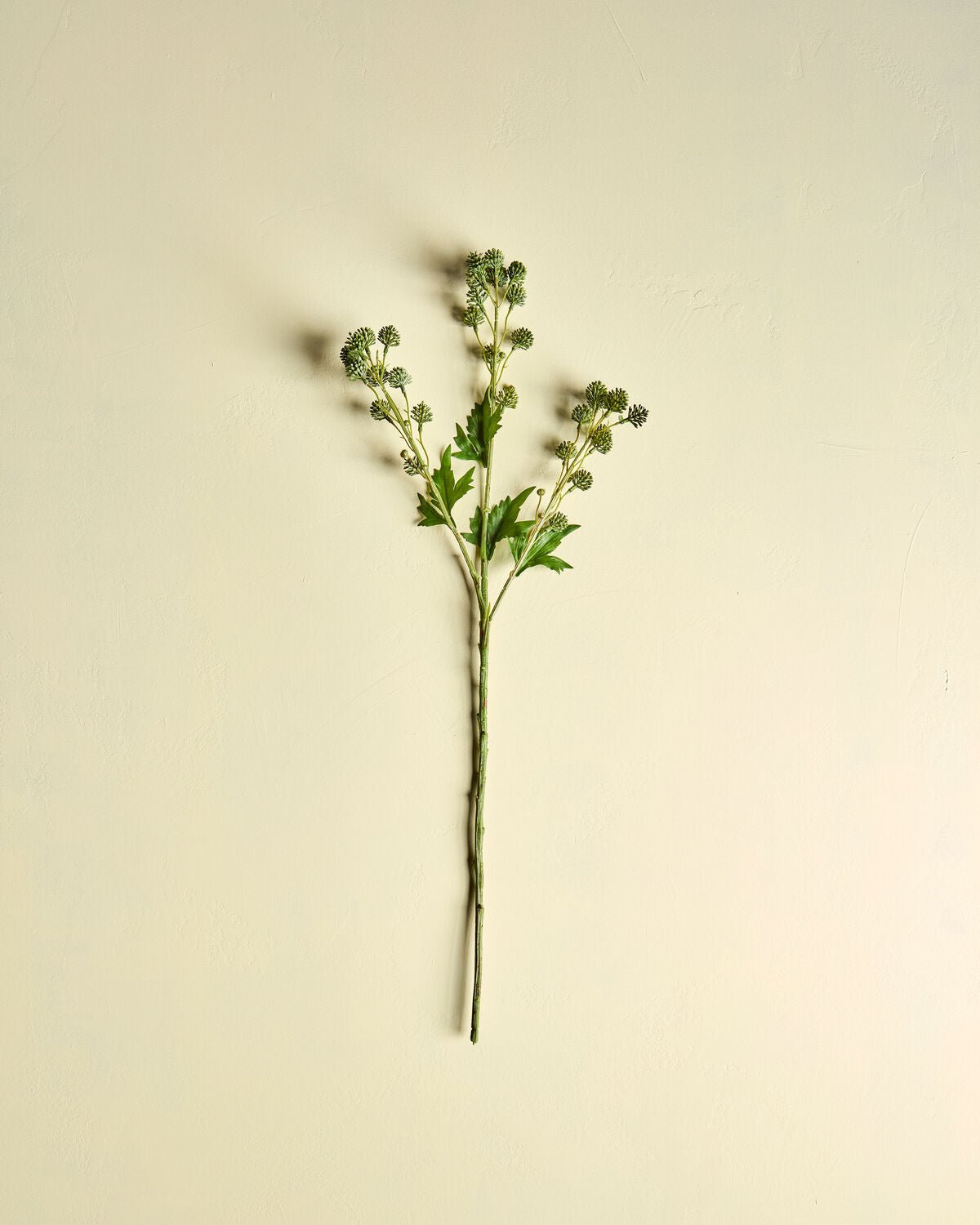 House Doctor Kunstzweig SEDUM grün | 20x80cm - Sir Henrys