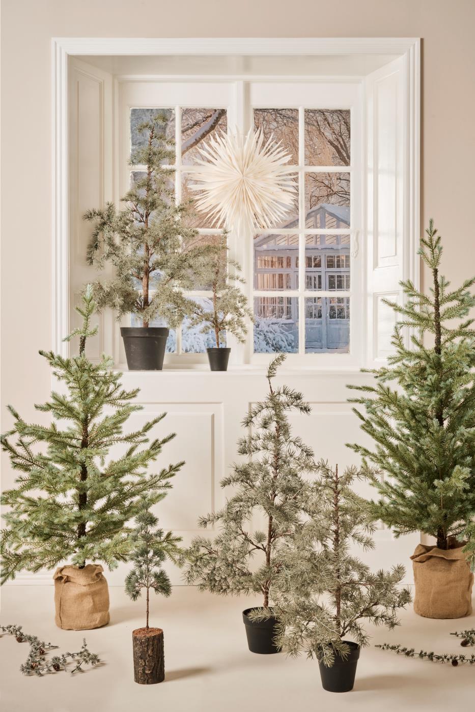 IB Laursen Weihnachtsbaum ZEDER mit Plastiktopf groß | Ø 60 H120cm - Sir Henrys